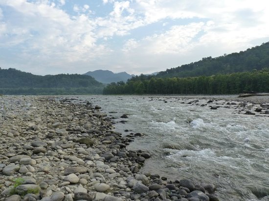 kosi river