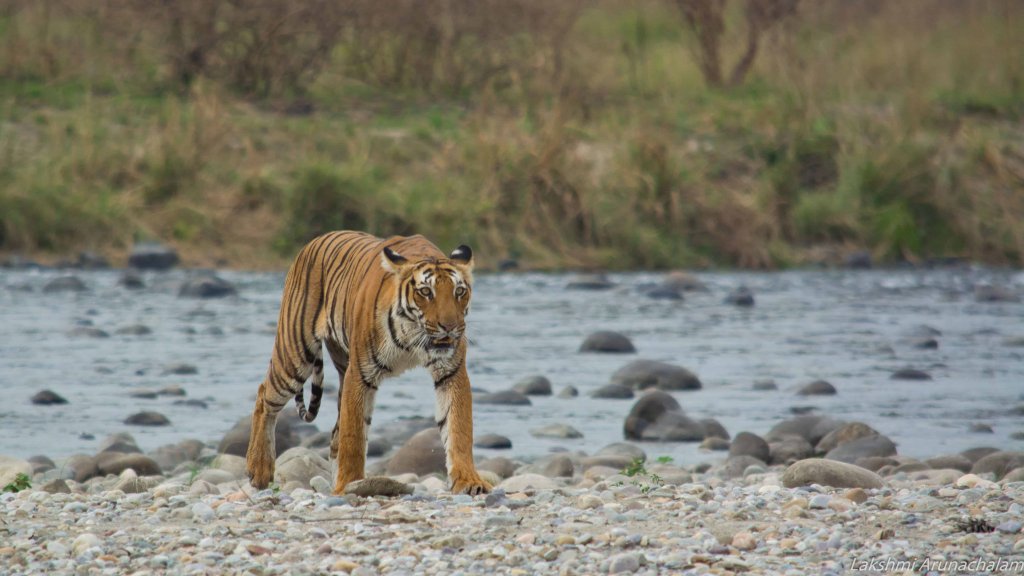Nandhaur Wildlife Sanctuary