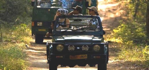 corbett jeep safari