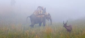 corbett india safari