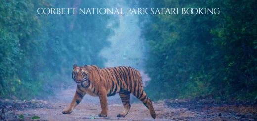 jim corbett safari