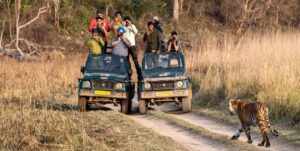 corbett jeep safari