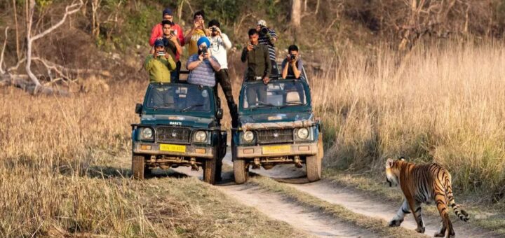 corbett jeep safari