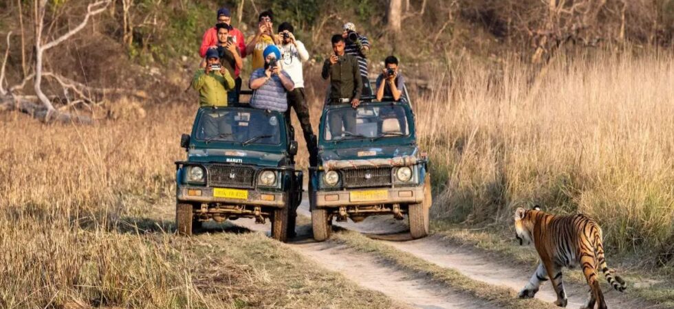 corbett jeep safari