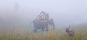 corbett