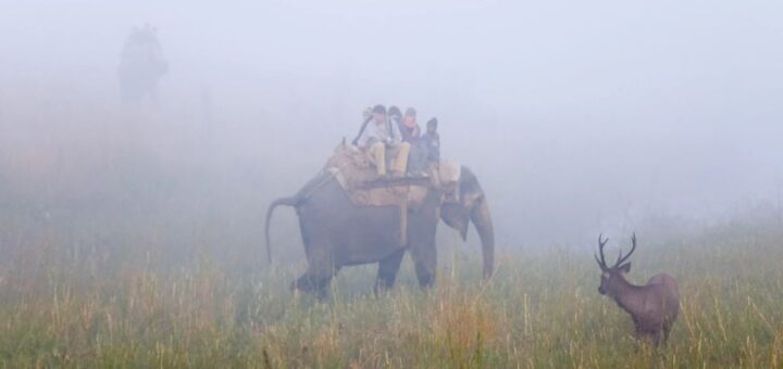 corbett