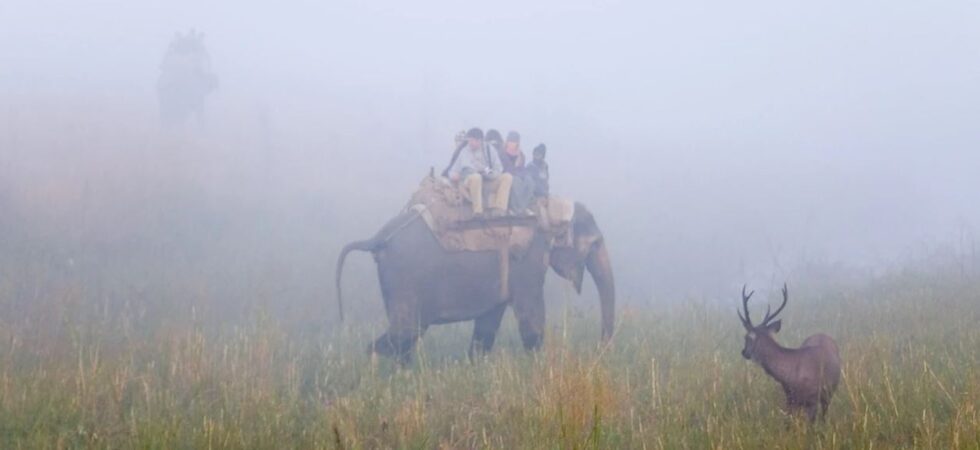 corbett