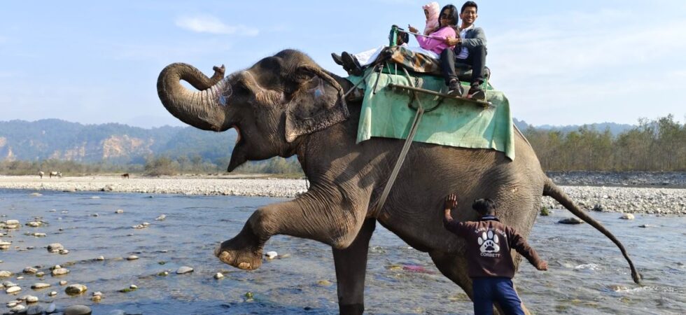 corbett elephant safari