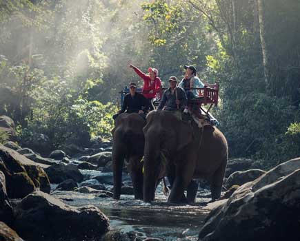 elephant safari in corbett