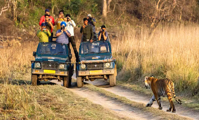 corbett tour