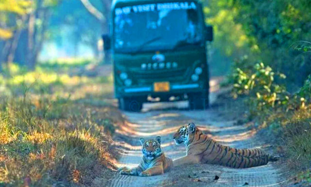 corbett tour