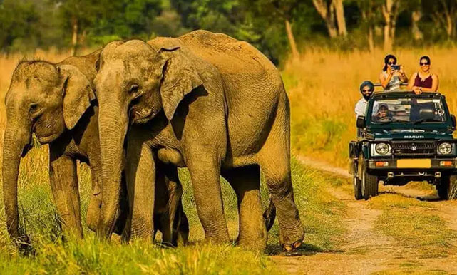 corbett tour