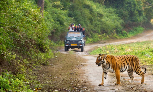 corbett tour