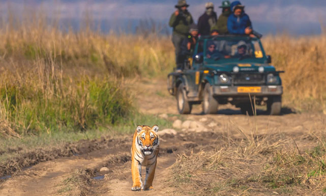 corbett tour
