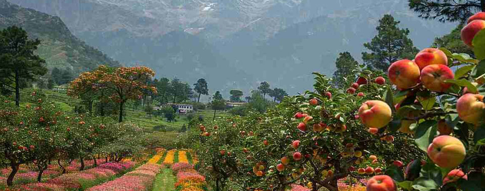 uttarakhand tour in march